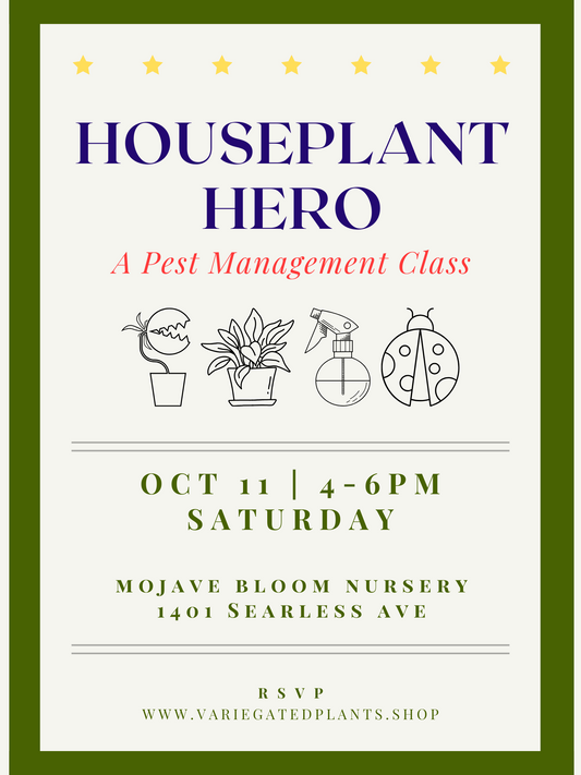 Houseplant Hero