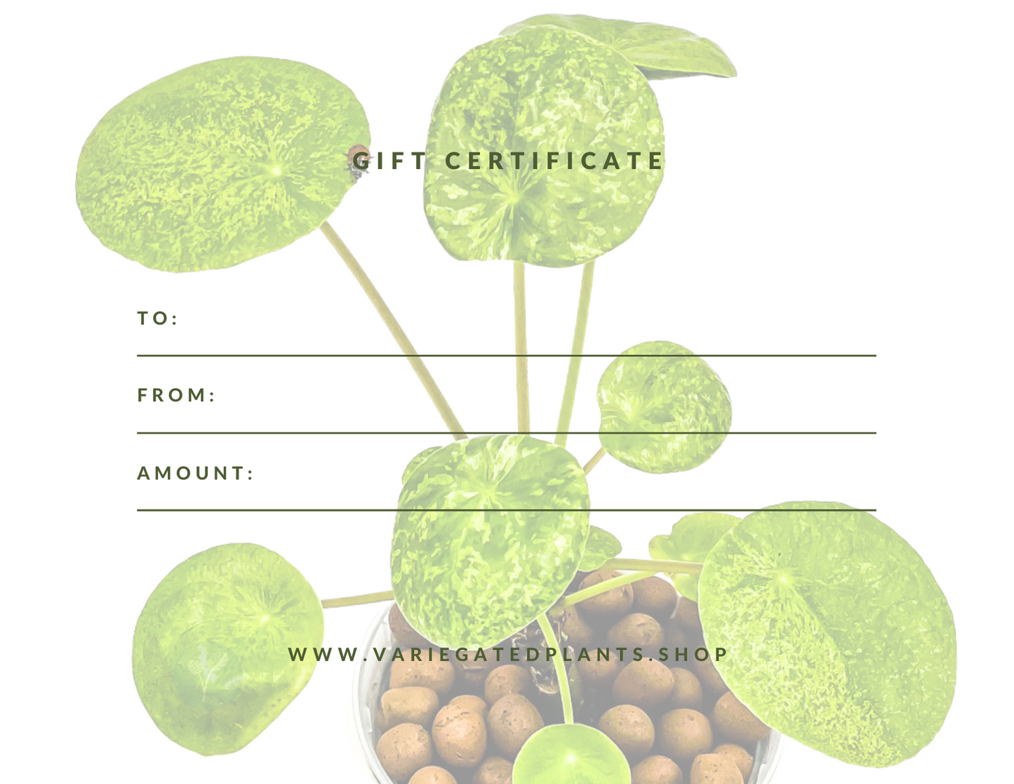 Start Planting Gift Certificate