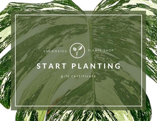 Start Planting Gift Certificate