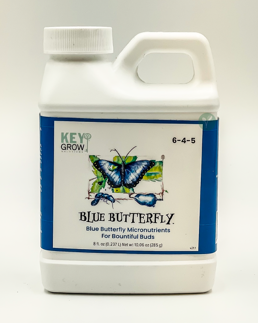 Blue Butterfly by Key Grow Solutions